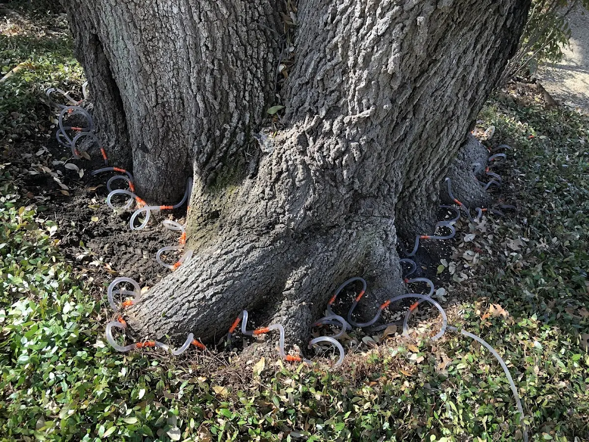 Detailed Shrub and Hedge Trimming job site in Le Center