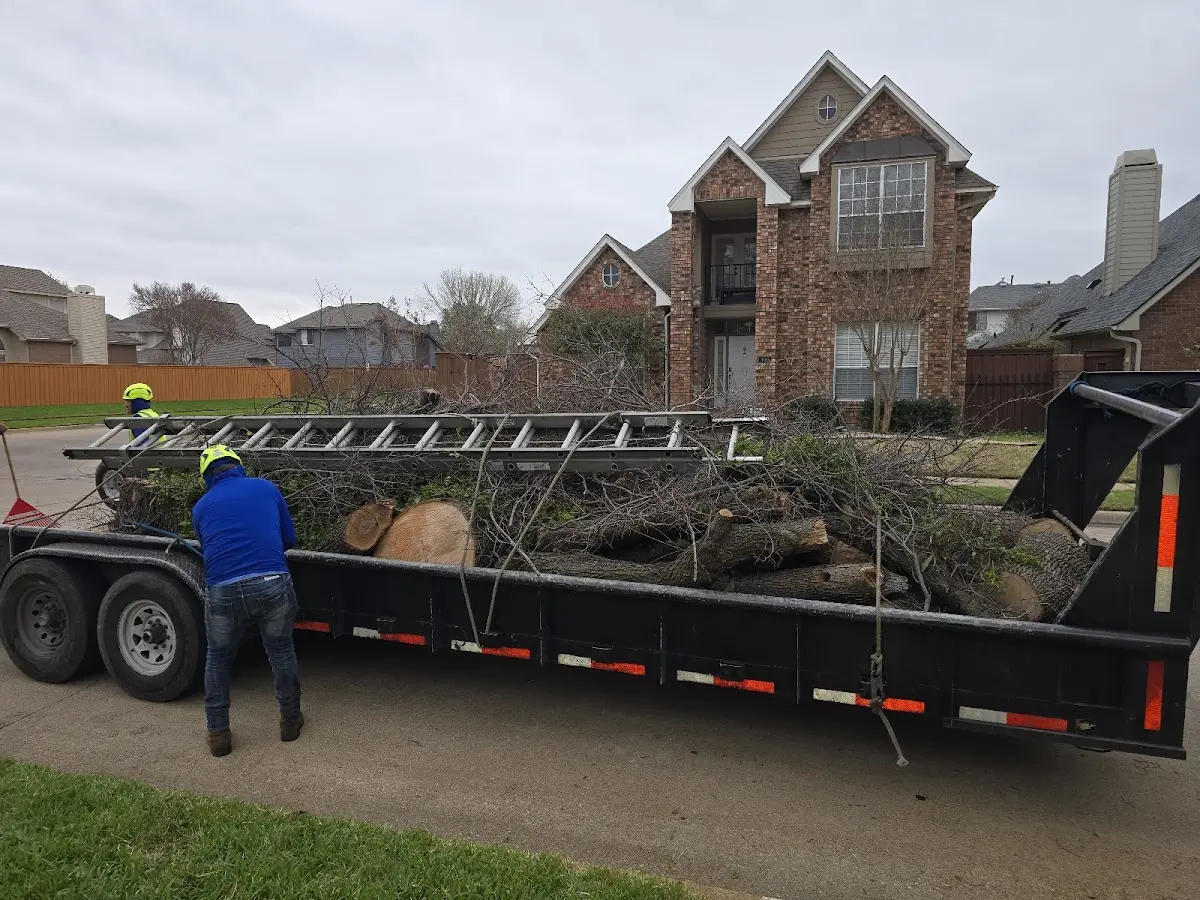 Expert Tree Pest Control with proper safety equipment in Le Center